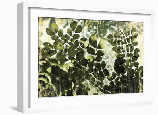 Dappled Radiance-Erin Clark-Framed Art Print