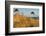 Dar?er Place Coast in Morning Light-Thomas Ebelt-Framed Photographic Print