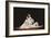 Darcy Bussell and Igor Zelensky, Manon-Bill Cooper-Framed Premium Giclee Print