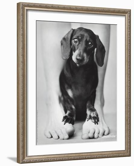 Darcy-Rachael Hale-Framed Photo