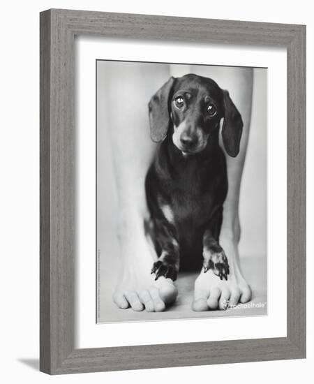 Darcy-Rachael Hale-Framed Photo