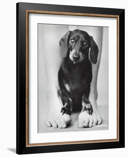 Darcy-Rachael Hale-Framed Photo