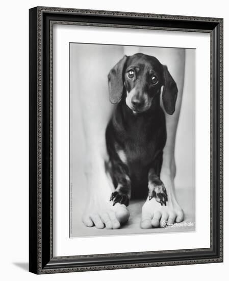 Darcy-Rachael Hale-Framed Photo