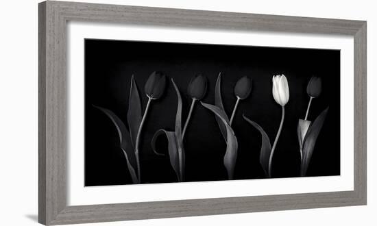 Dare to Be Different-Doug Chinnery-Framed Photographic Print