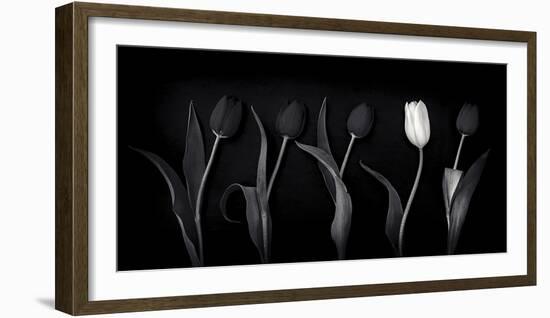 Dare to Be Different-Doug Chinnery-Framed Photographic Print