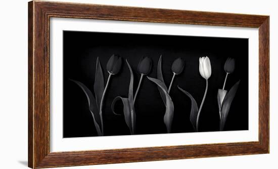 Dare to Be Different-Doug Chinnery-Framed Photographic Print