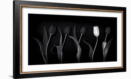 Dare to Be Different-Doug Chinnery-Framed Photographic Print