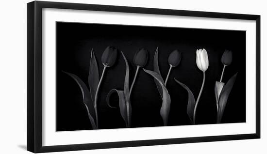 Dare to Be Different-Doug Chinnery-Framed Photographic Print