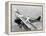 Daredevils Playing Tennis on a Biplane-null-Framed Premier Image Canvas