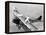 Daredevils Playing Tennis on a Biplane-null-Framed Premier Image Canvas