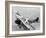 Daredevils Playing Tennis on a Biplane-null-Framed Photographic Print