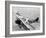 Daredevils Playing Tennis on a Biplane-null-Framed Photographic Print