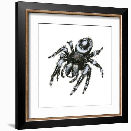 Daring Jumping Spider (Phidippus Audax), Arachnids-Encyclopaedia Britannica-Framed Art Print