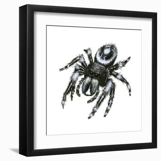 Daring Jumping Spider (Phidippus Audax), Arachnids-Encyclopaedia Britannica-Framed Art Print