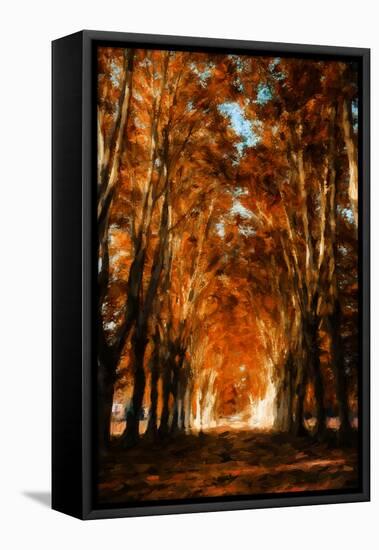 Dark Autumn Days-Philippe Sainte-Laudy-Framed Premier Image Canvas