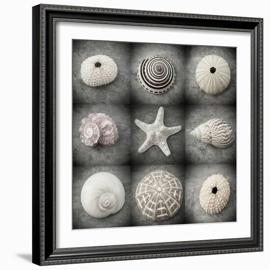 Dark Beauties-Judy Stalus-Framed Photographic Print