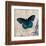 Dark Blue Butterfly-Alan Hopfensperger-Framed Art Print