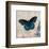 Dark Blue Butterfly-Alan Hopfensperger-Framed Art Print