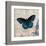 Dark Blue Butterfly-Alan Hopfensperger-Framed Art Print