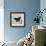 Dark Blue Butterfly-Alan Hopfensperger-Framed Art Print displayed on a wall
