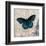 Dark Blue Butterfly-Alan Hopfensperger-Framed Art Print