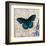 Dark Blue Butterfly-Alan Hopfensperger-Framed Art Print