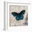 Dark Blue Butterfly-Alan Hopfensperger-Framed Art Print