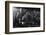 Dark City-Jorge Ruiz Dueso-Framed Photographic Print