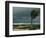 Dark Clouds Gather and a Palm Tree Blows-null-Framed Photographic Print