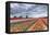 Dark Clouds over Fields of Multicolored Tulips and Windmill, Netherlands-Roberto Moiola-Framed Premier Image Canvas