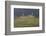 Dark Clouds over the Thurand Castle Near Alken on the Moselle-Uwe Steffens-Framed Photographic Print