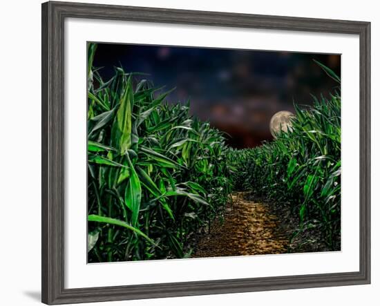 Dark Corn Field-null-Framed Photographic Print