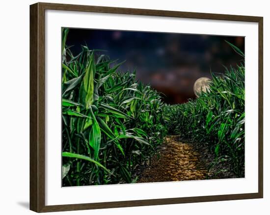 Dark Corn Field-null-Framed Photographic Print