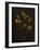 Dark & Dreamy V-Renée Stramel-Framed Photographic Print