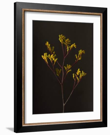 Dark & Dreamy V-Renée Stramel-Framed Photographic Print