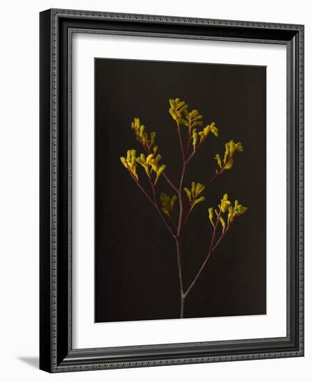 Dark & Dreamy V-Renée Stramel-Framed Photographic Print