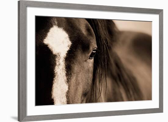 Dark Eyes-Lisa Dearing-Framed Art Print