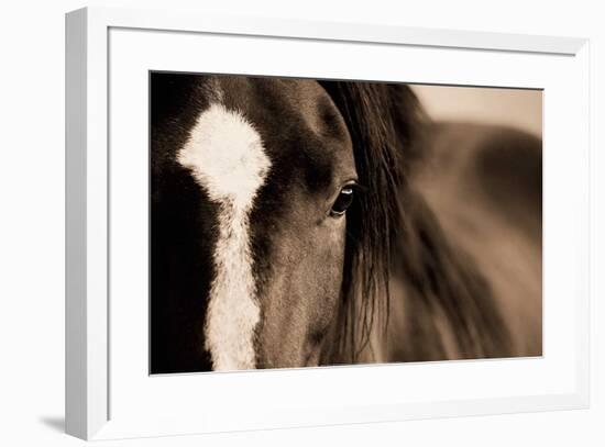 Dark Eyes-Lisa Dearing-Framed Art Print