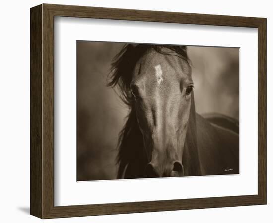 Dark Eyes-Barry Hart-Framed Art Print