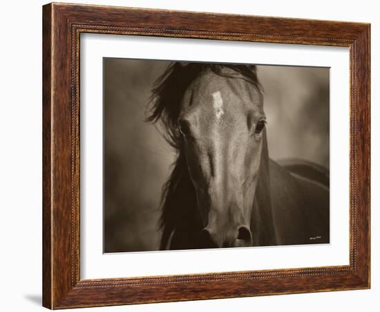 Dark Eyes-Barry Hart-Framed Art Print