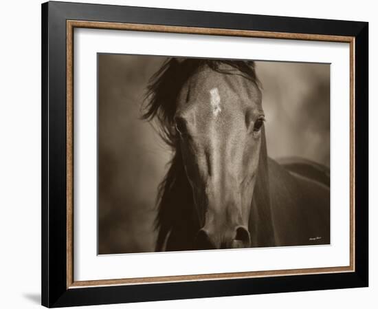 Dark Eyes-Barry Hart-Framed Art Print