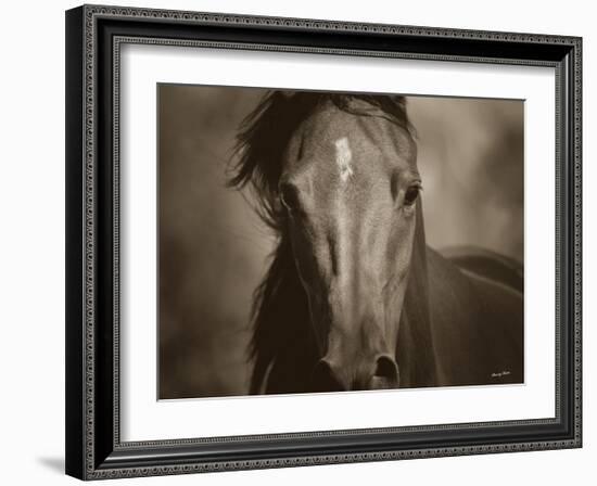 Dark Eyes-Barry Hart-Framed Art Print