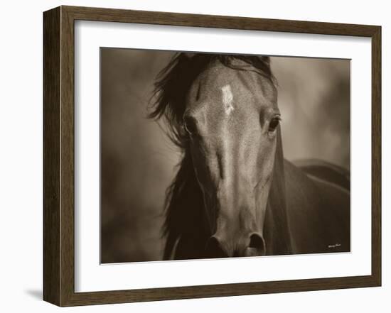 Dark Eyes-Barry Hart-Framed Art Print