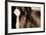 Dark Eyes-Lisa Dearing-Framed Photographic Print