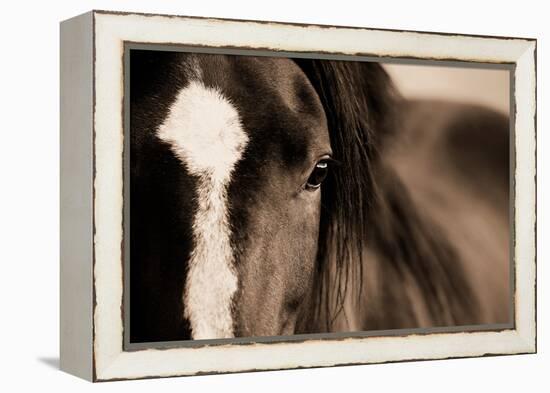 Dark Eyes-Lisa Dearing-Framed Premier Image Canvas