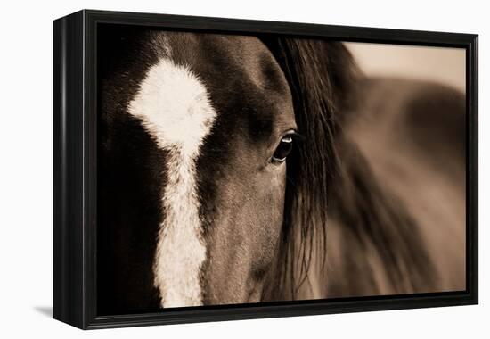 Dark Eyes-Lisa Dearing-Framed Premier Image Canvas