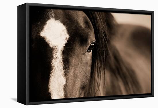 Dark Eyes-Lisa Dearing-Framed Premier Image Canvas