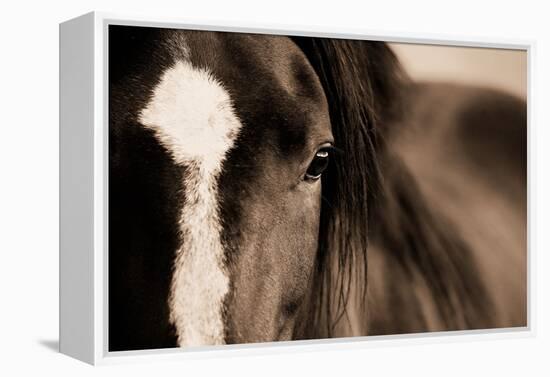 Dark Eyes-Lisa Dearing-Framed Premier Image Canvas