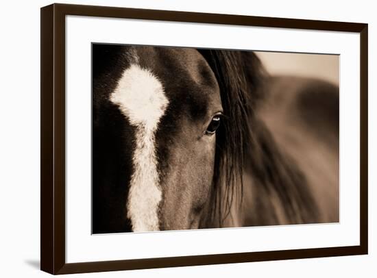 Dark Eyes-Lisa Dearing-Framed Photographic Print