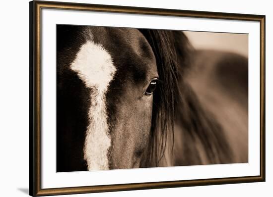 Dark Eyes-Lisa Dearing-Framed Photographic Print